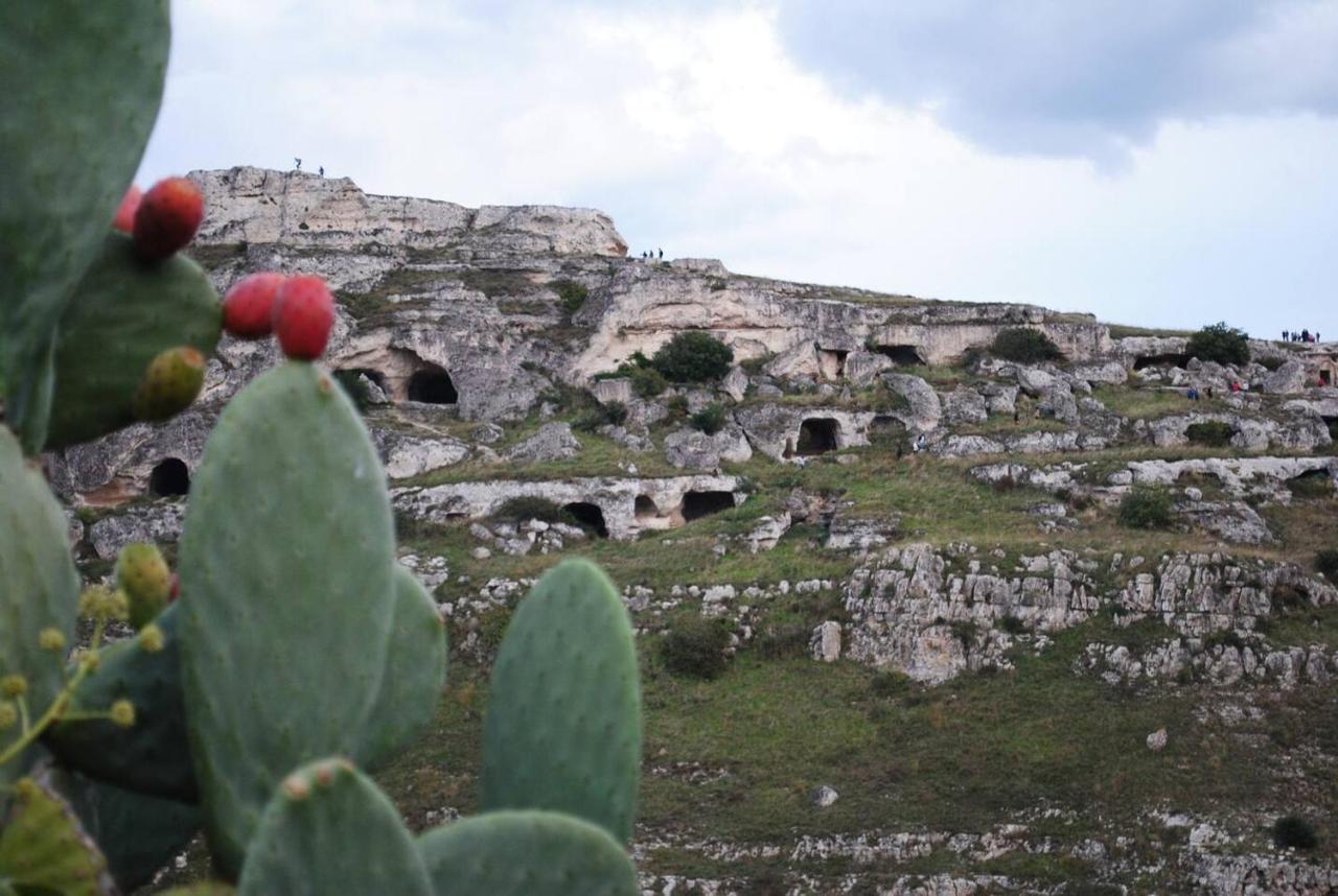 Casa Vacanze Domus Centrale Matera Eksteriør billede